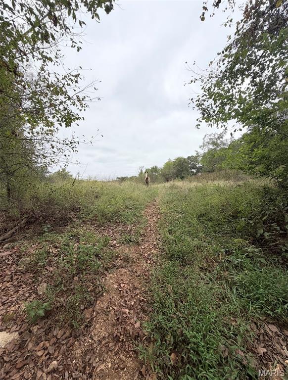 0 Cr 160 Property Photo 35