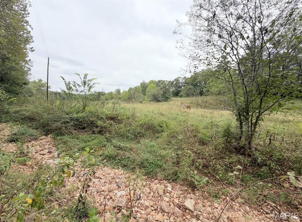 0 Cr 160 Property Photo 40