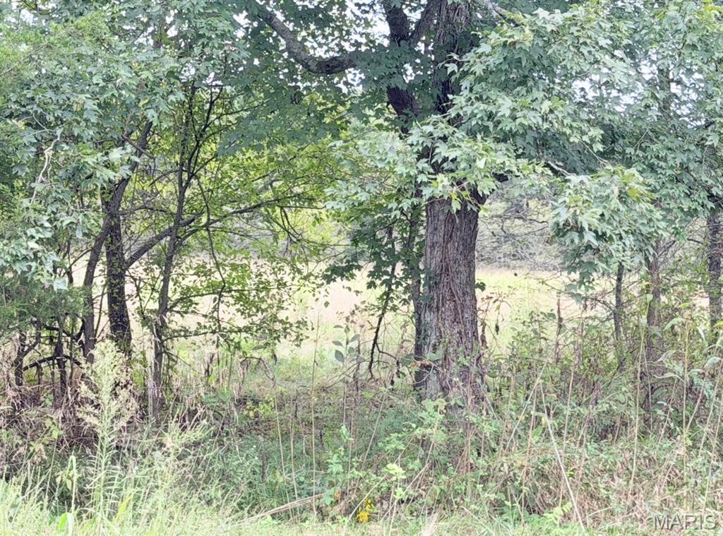 0 Cr 160 Property Photo 53