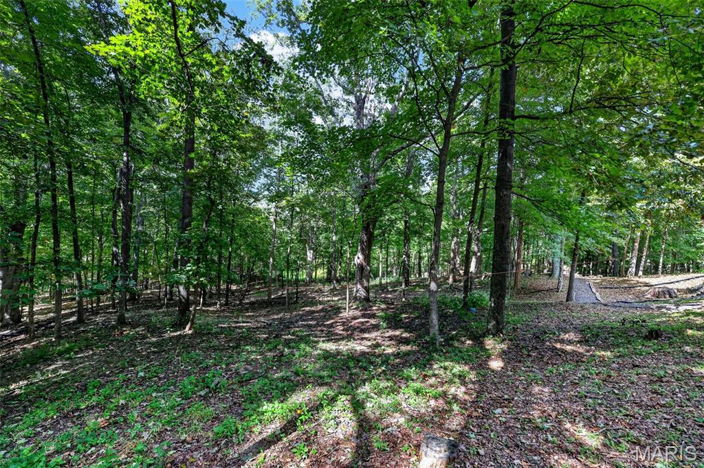 161 Stuart Lane Property Photo 66