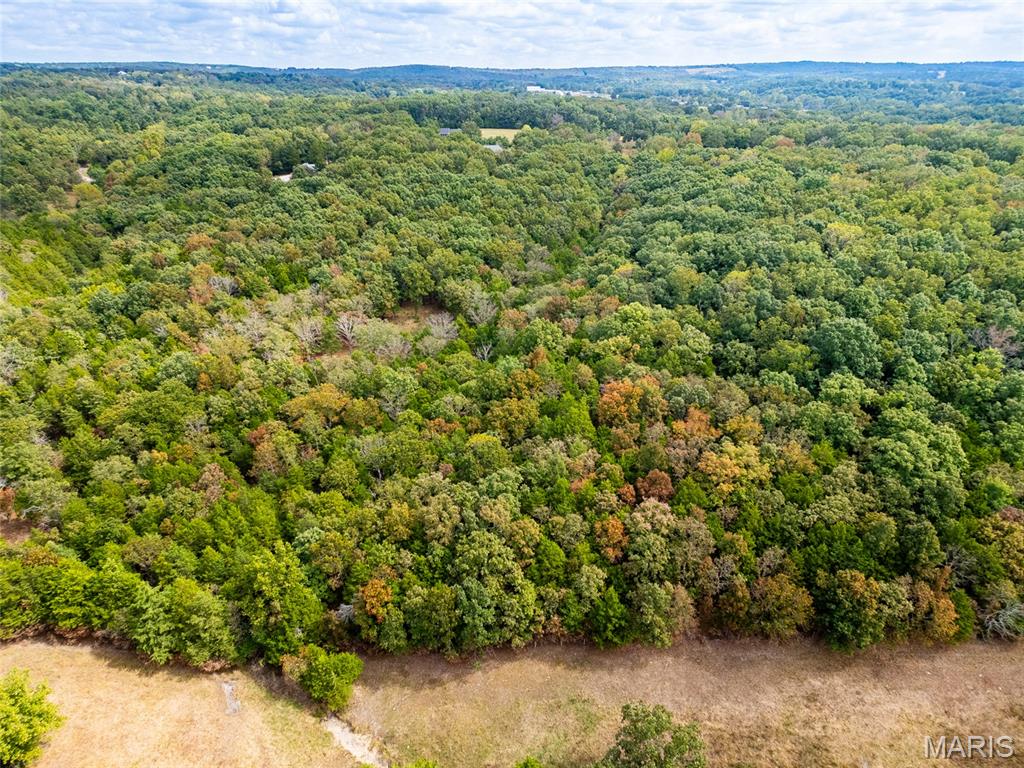 Tbd County Road 7145 Property Photo 4