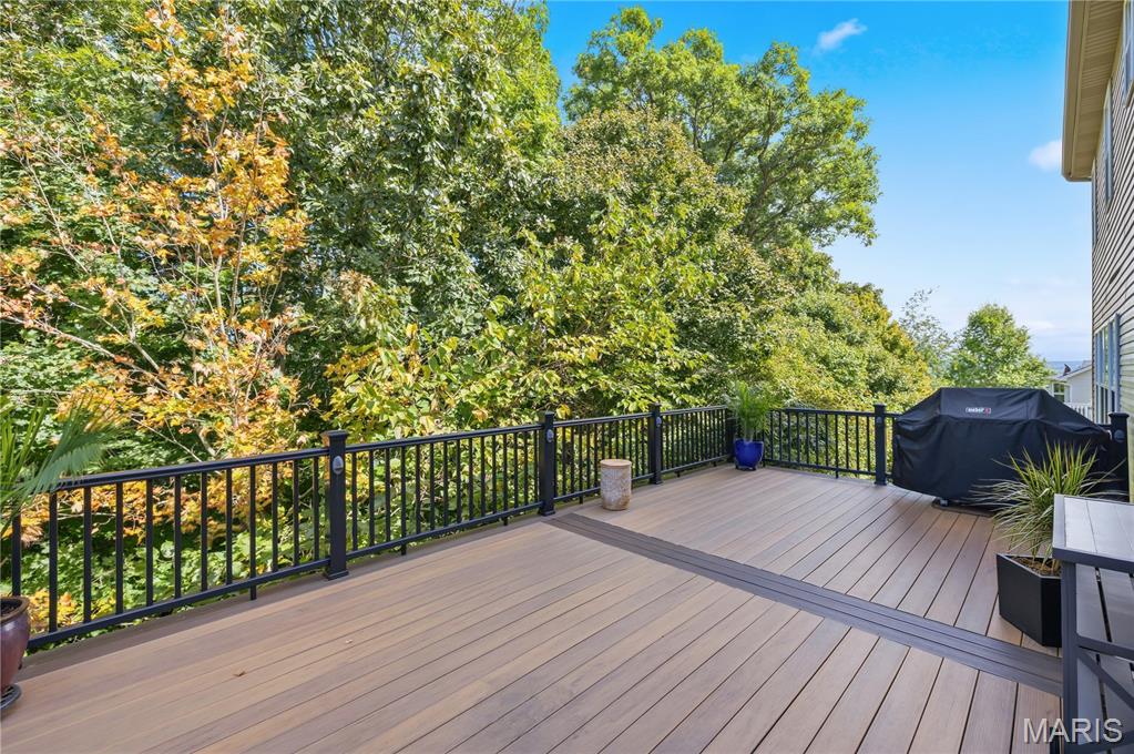 334 Palisades Ridge Court Property Photo 19