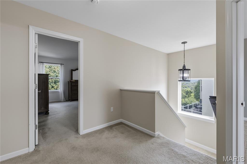334 Palisades Ridge Court Property Photo 28