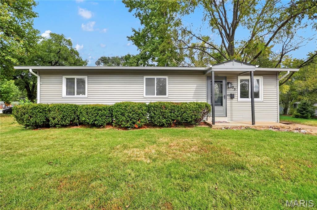703 Ferguson Avenue Property Photo 1
