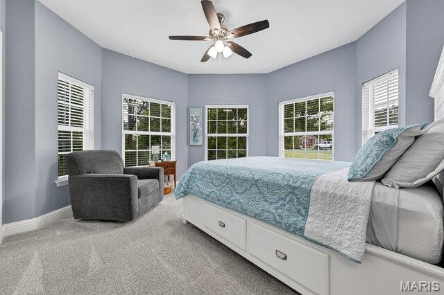 341 Mallard Pointe Boulevard Property Photo 37