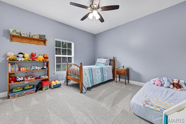 341 Mallard Pointe Boulevard Property Photo 40