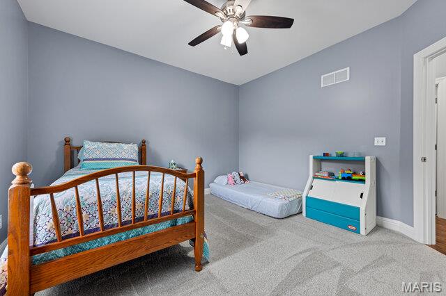 341 Mallard Pointe Boulevard Property Photo 41