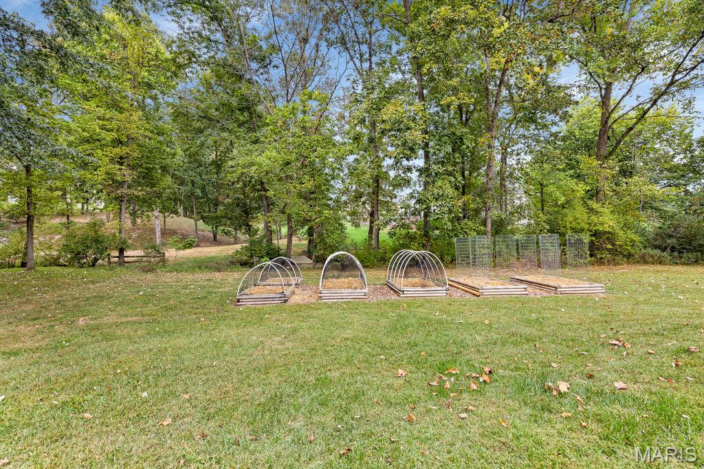 341 Mallard Pointe Boulevard Property Photo 54