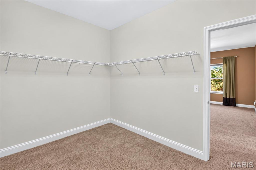 223 Lone Wolf Drive Property Photo 57