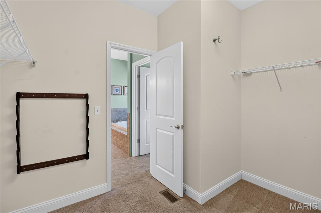 223 Lone Wolf Drive Property Photo 58