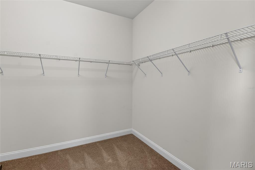 223 Lone Wolf Drive Property Photo 59