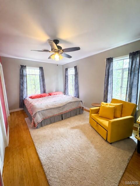 231 Donald Street Property Photo 15