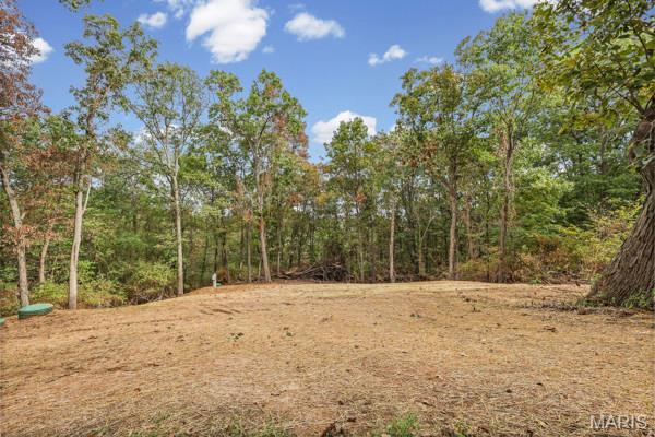 2941 Meyer Road Property Photo 35