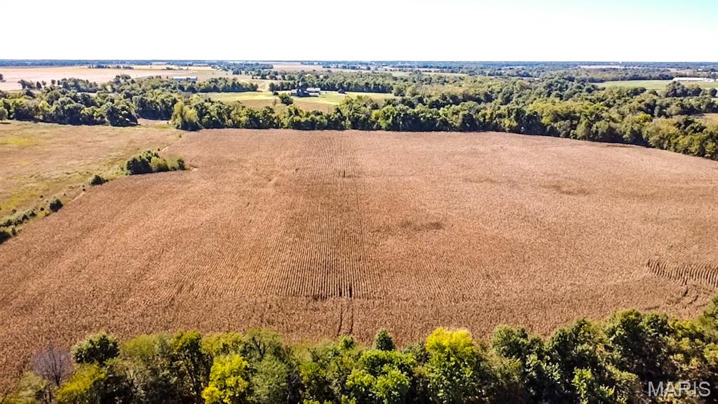 Tbd Highway D Property Photo 12