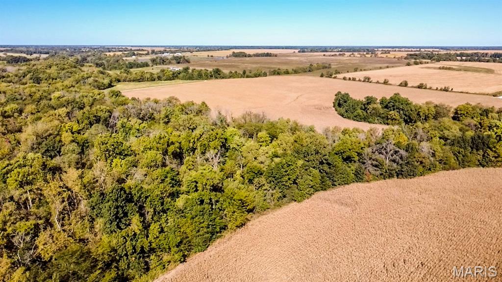 Tbd Highway D Property Photo 14