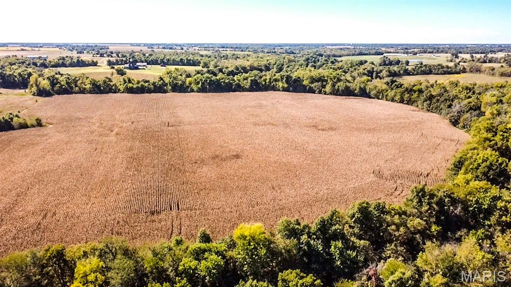 Tbd Highway D Property Photo 18