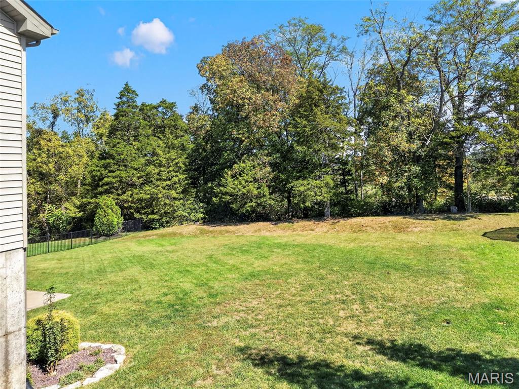 313 Wilmer Farm Trail Property Photo 53