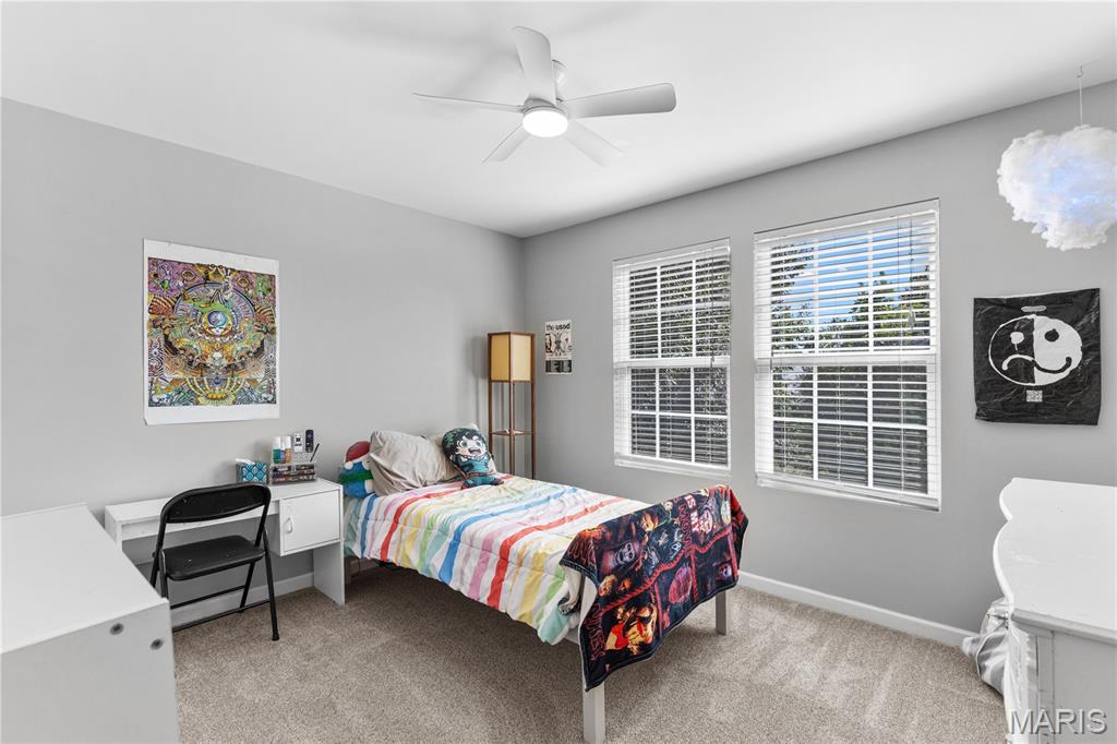2542 Amber Willow Court Property Photo 15