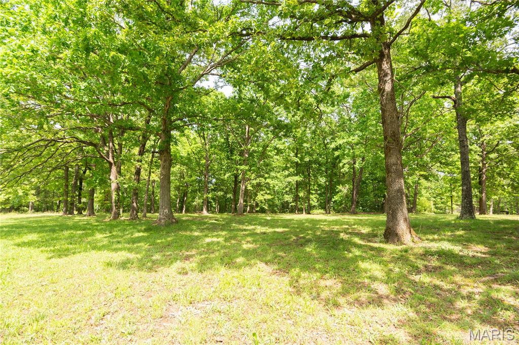 16590 Wayne D Property Photo 35