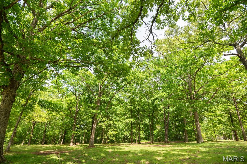 16590 Wayne D Property Photo 36