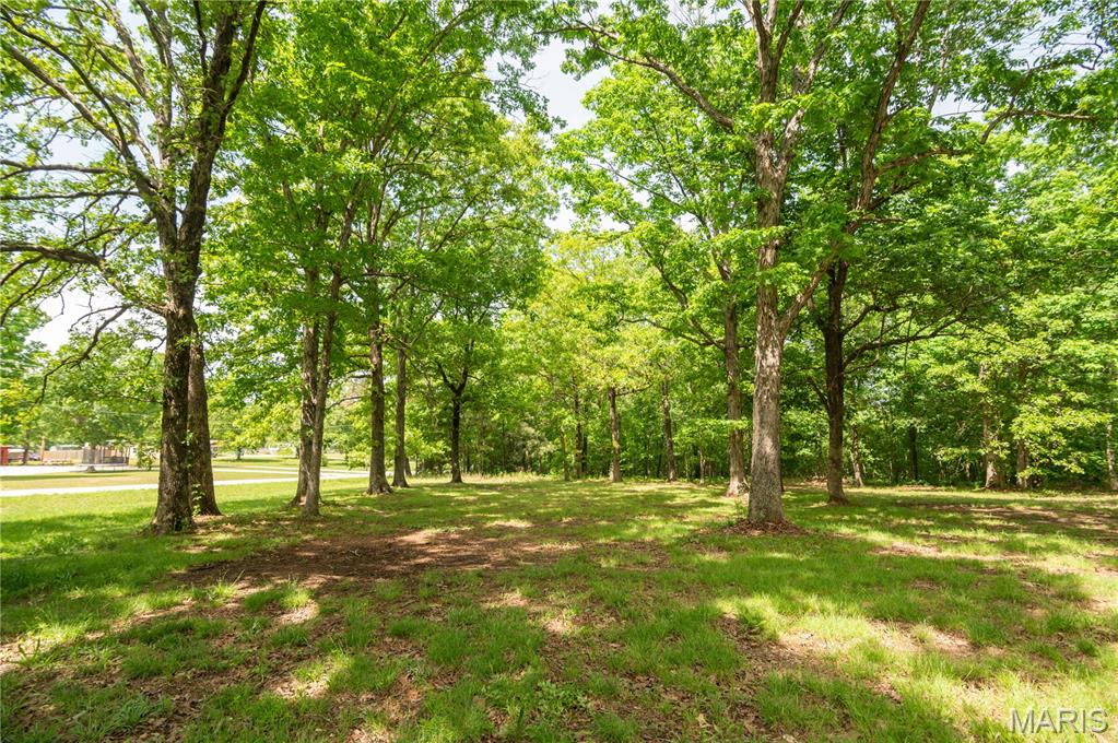 16590 Wayne D Property Photo 38