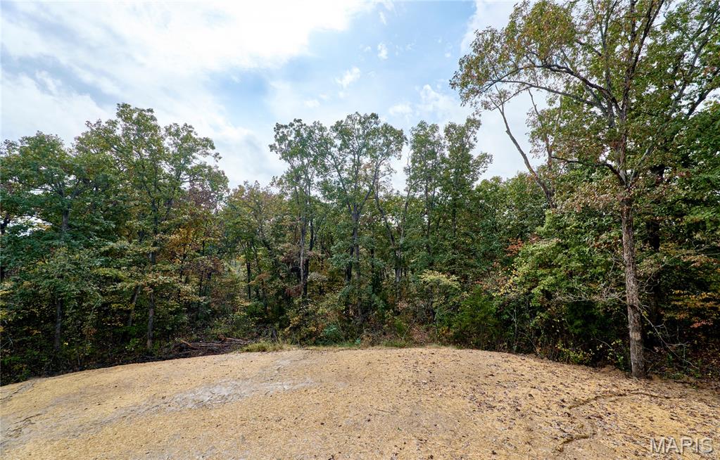 41 Sugar Creek Court Property Photo 5
