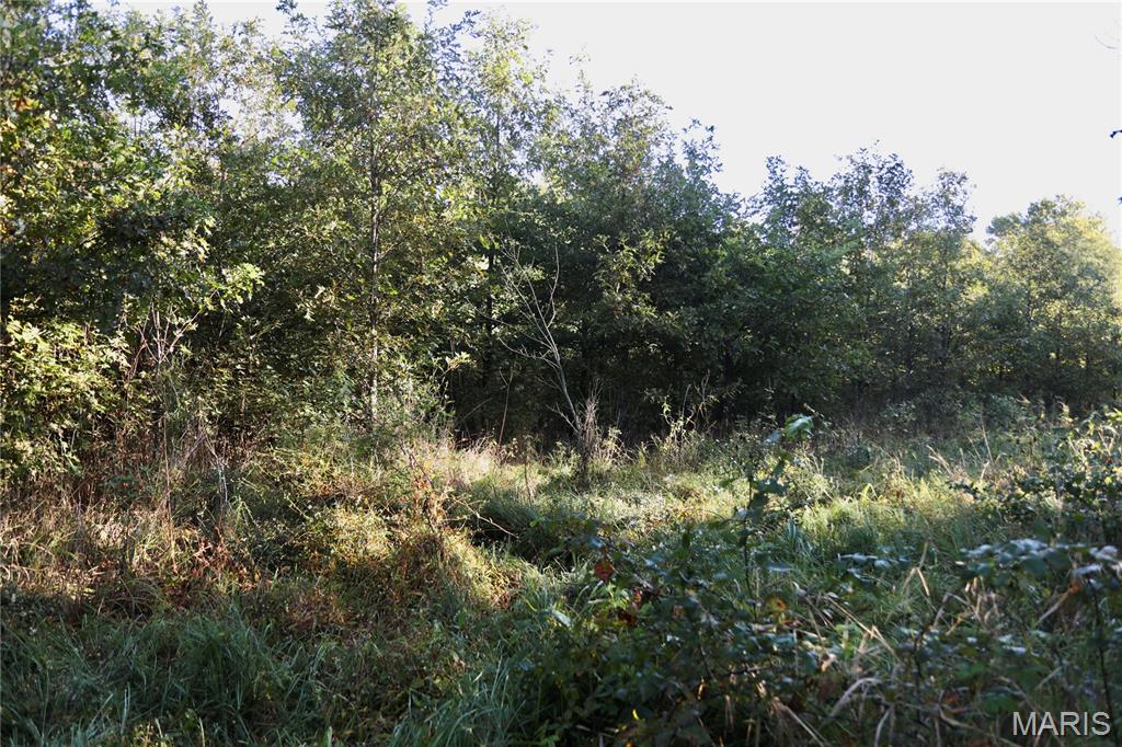 1 Landmark Road Property Photo 26