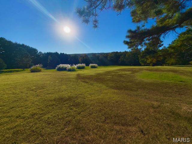 518 County Road 97a Property Photo 4