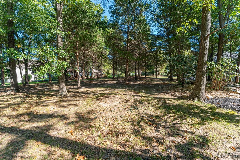 405 Charlemagne Drive Property Photo 49