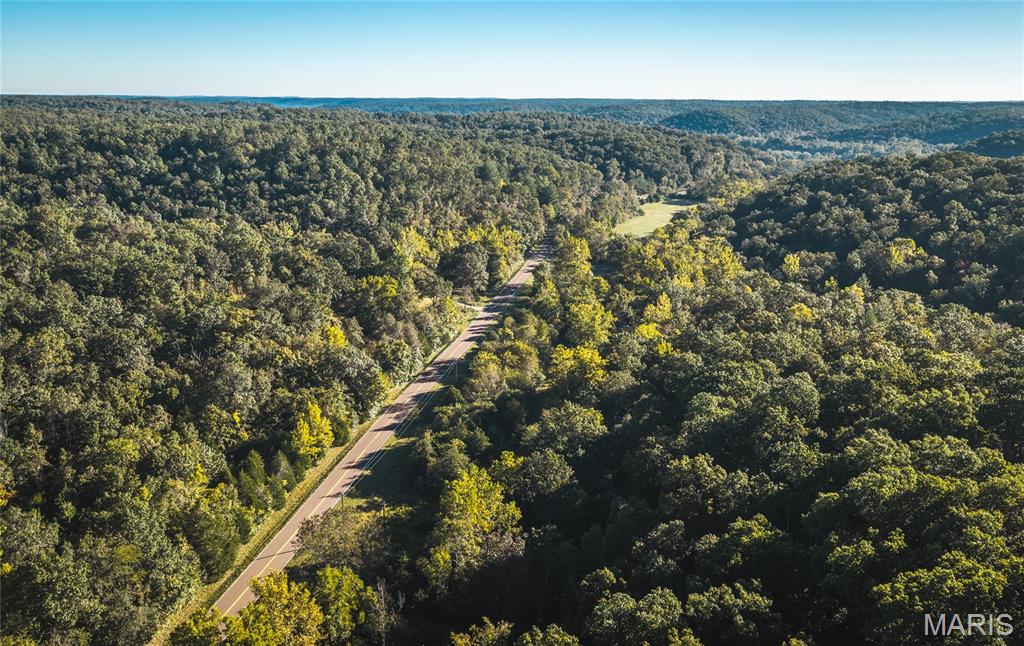 10206 Slice Road Property Photo 4