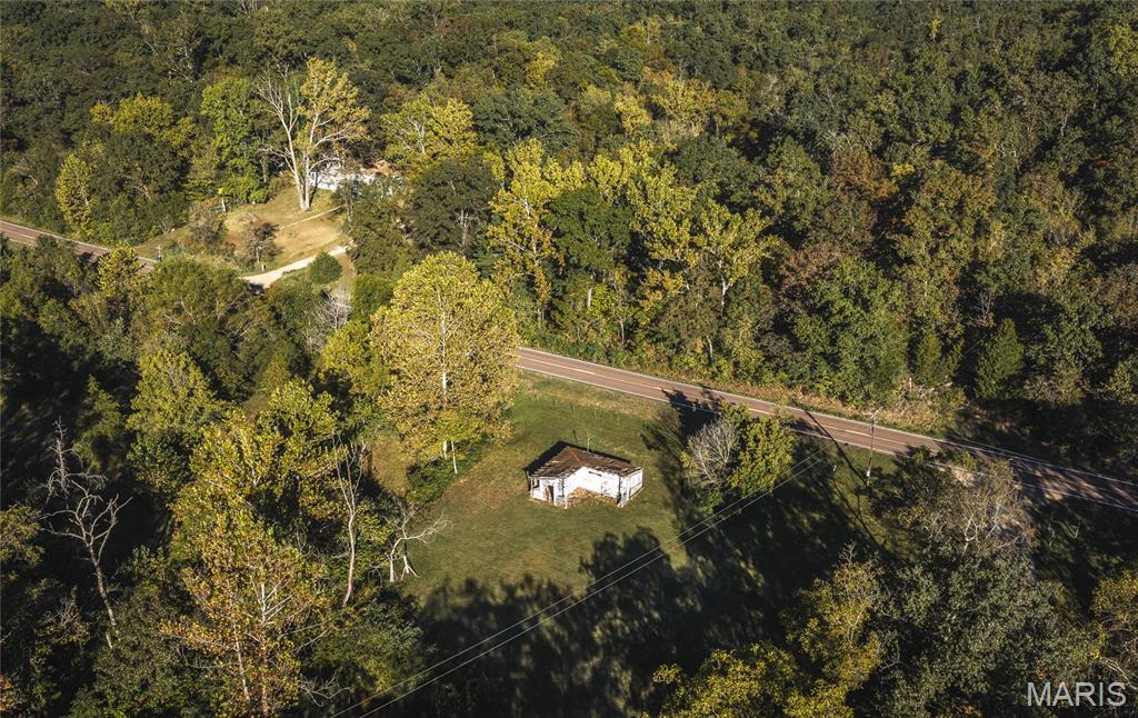 10206 Slice Road Property Photo 5