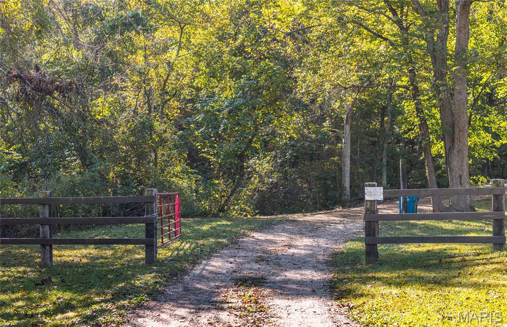 10206 Slice Road Property Photo 6