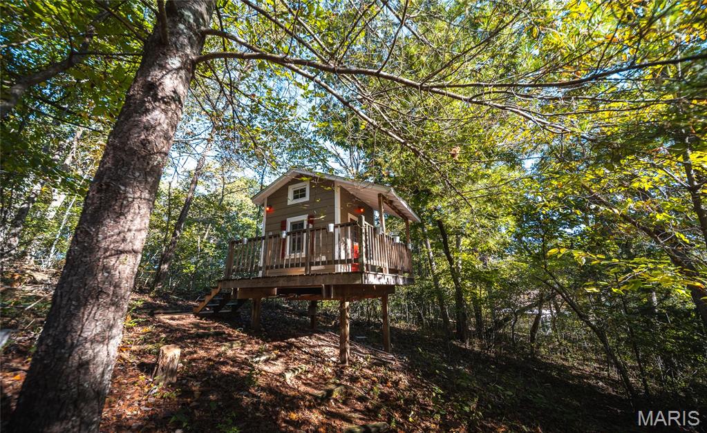 10206 Slice Road Property Photo 32