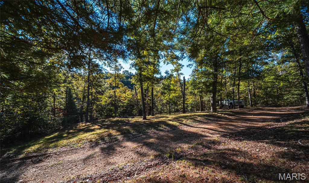 10206 Slice Road Property Photo 35