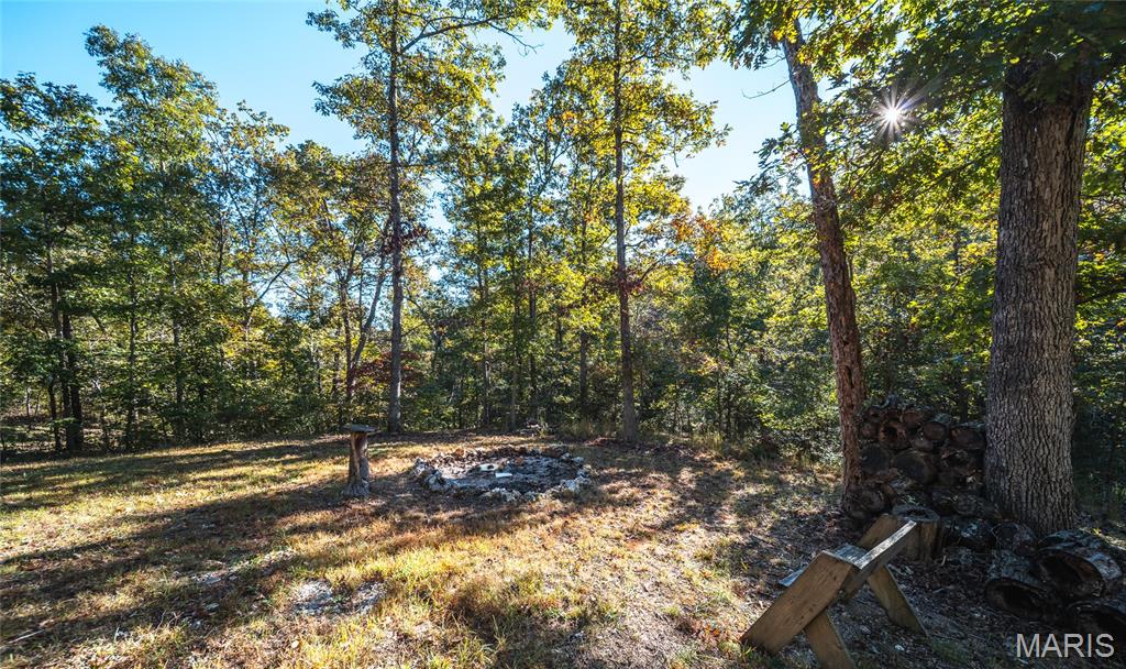 10206 Slice Road Property Photo 38
