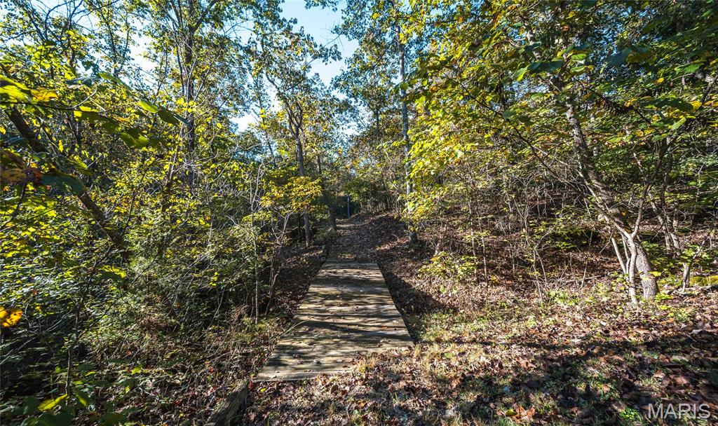 10206 Slice Road Property Photo 39