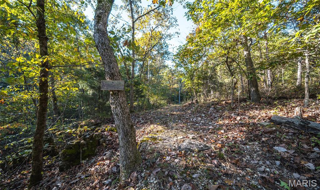 10206 Slice Road Property Photo 40