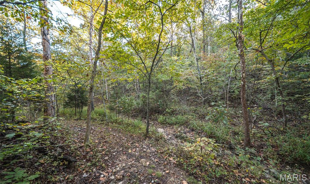 10206 Slice Road Property Photo 41