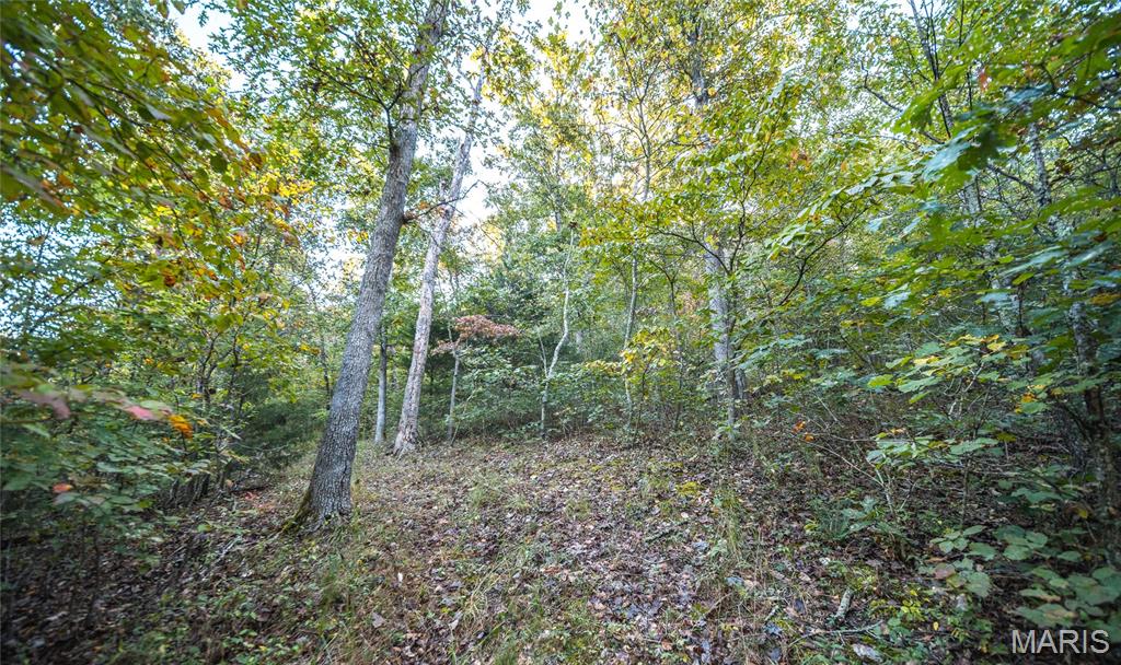 10206 Slice Road Property Photo 42