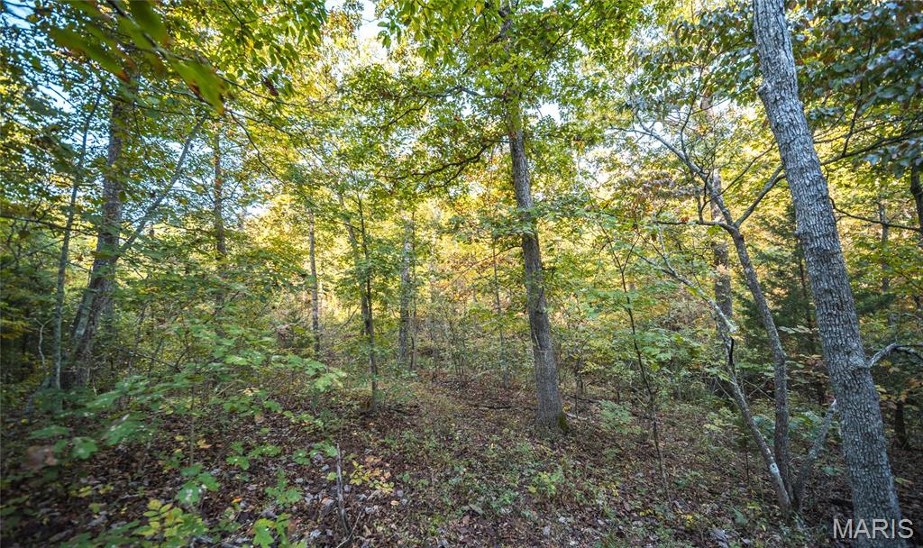 10206 Slice Road Property Photo 43