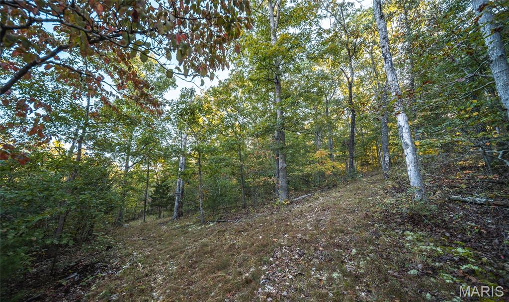10206 Slice Road Property Photo 44