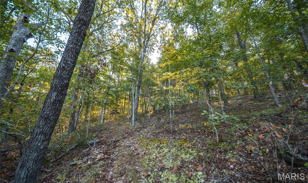 10206 Slice Road Property Photo 45
