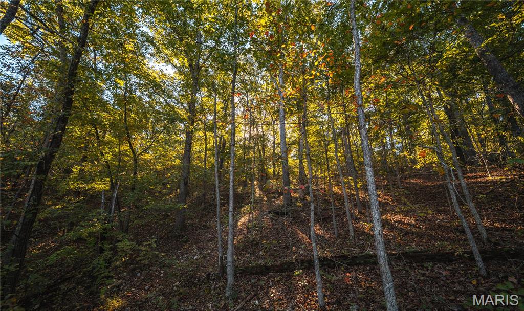 10206 Slice Road Property Photo 46
