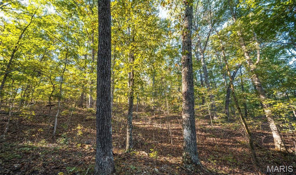 10206 Slice Road Property Photo 47