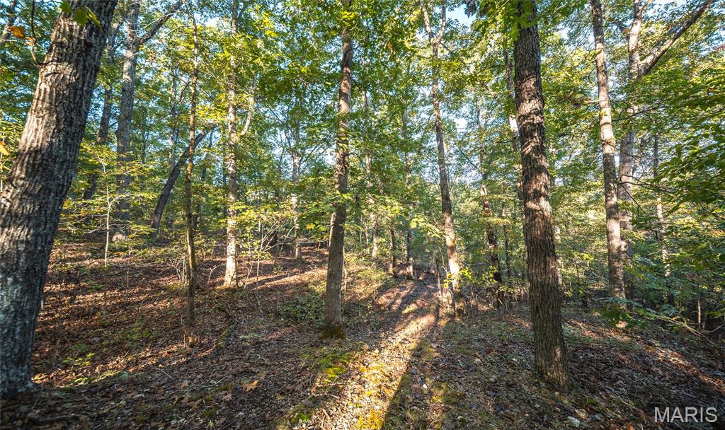 10206 Slice Road Property Photo 48