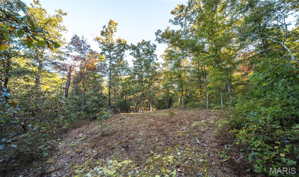 10206 Slice Road Property Photo 49