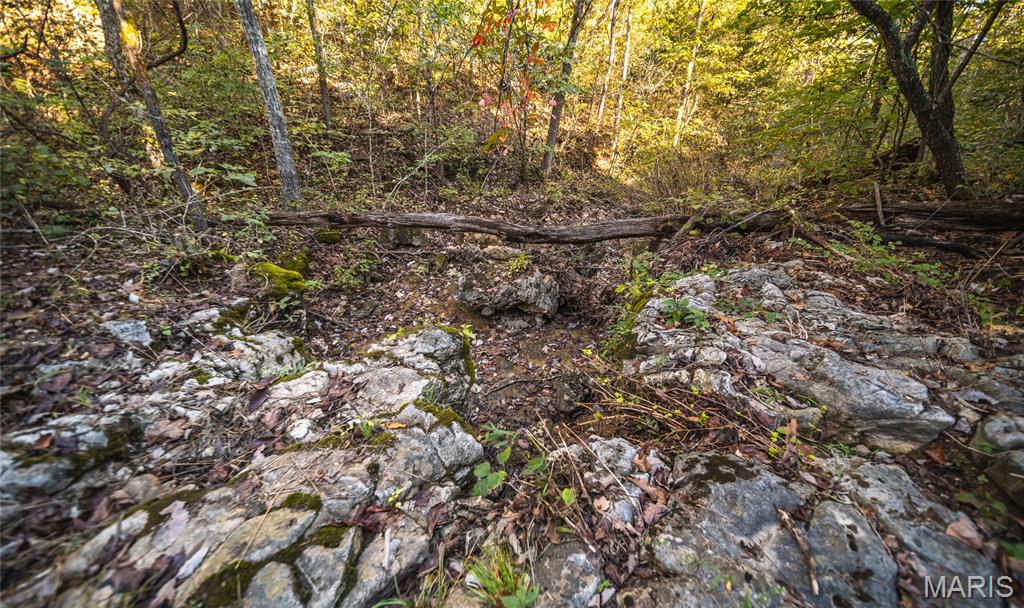 10206 Slice Road Property Photo 50