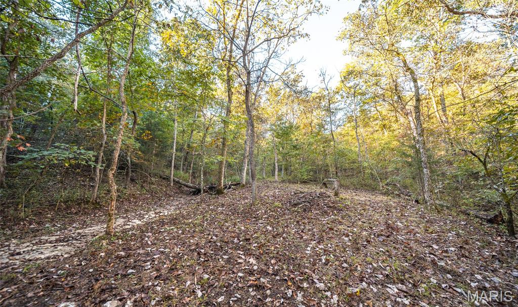10206 Slice Road Property Photo 51