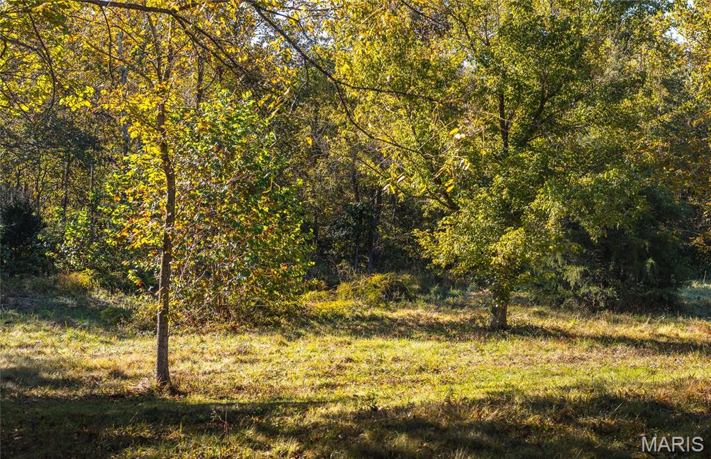 10206 Slice Road Property Photo 52