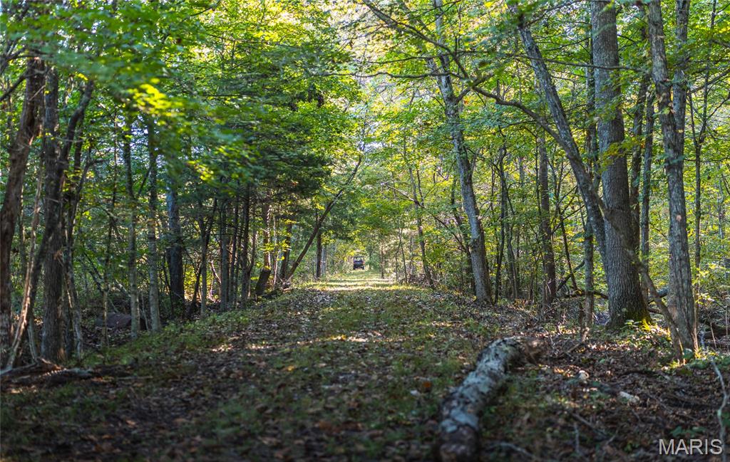 10206 Slice Road Property Photo 54